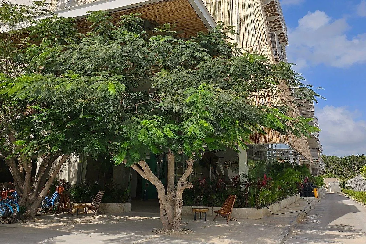 Hotel Siente Tulum Messico